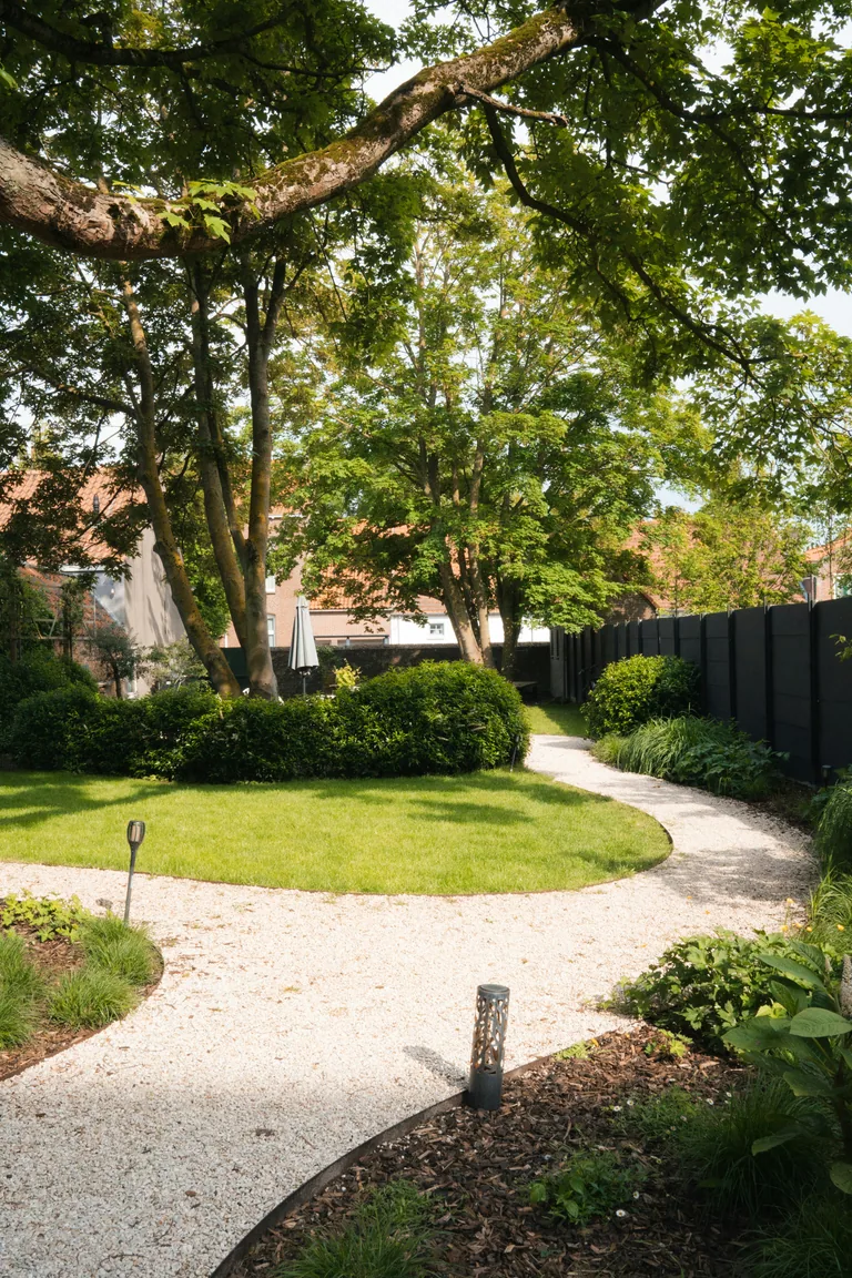 Taille d'une haie de jardin avec un outil adapté